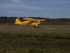 Piper J-3 Cub 450